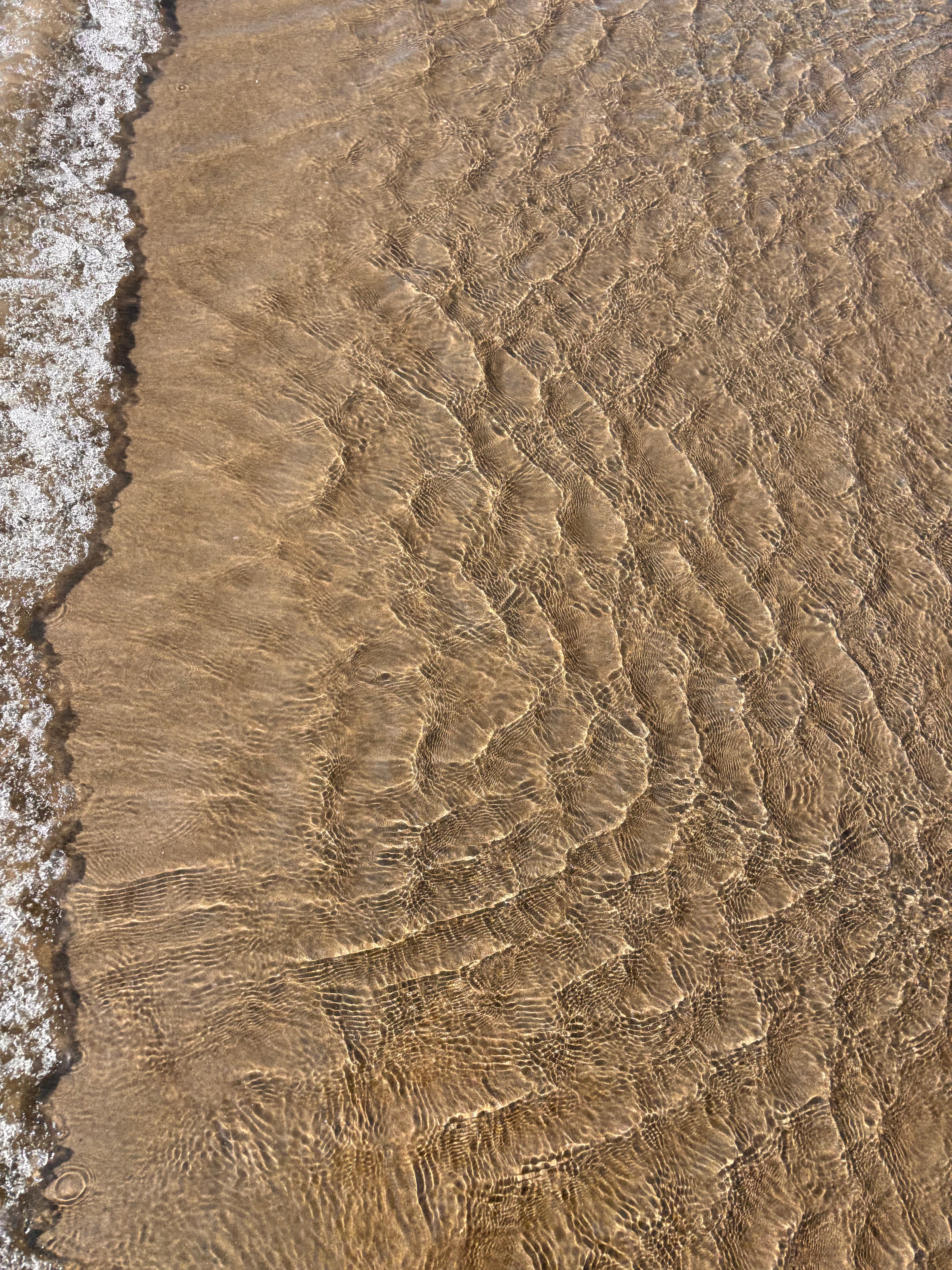 Serene beach waters